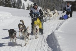 Kandersteg 2013